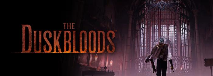 The Duskbloods наконец позволит понять, что это вообще за игра