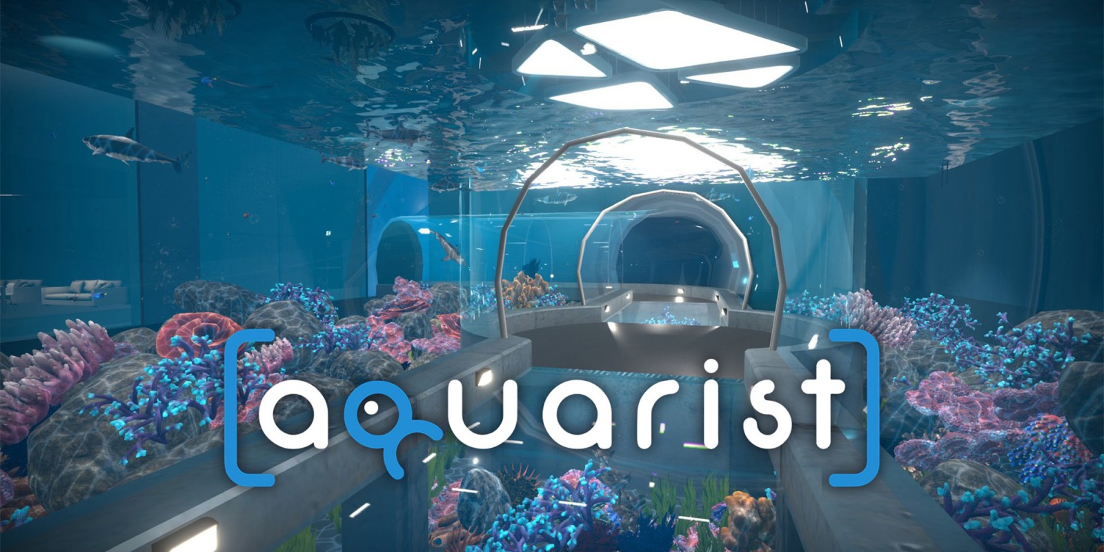 Aquarist (PS4 Account)